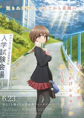 播播四房