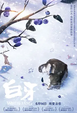 手机看片1024久久精品你懂的