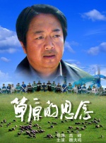 新来的女律师