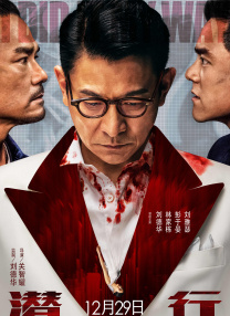成年人视频在线免费播放